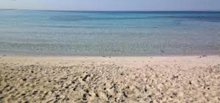Acquazzurra Affittacamere Torre Lapillo Extérieur photo